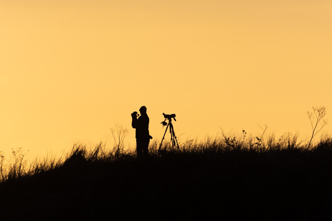 BirdingSilhouette.jpeg