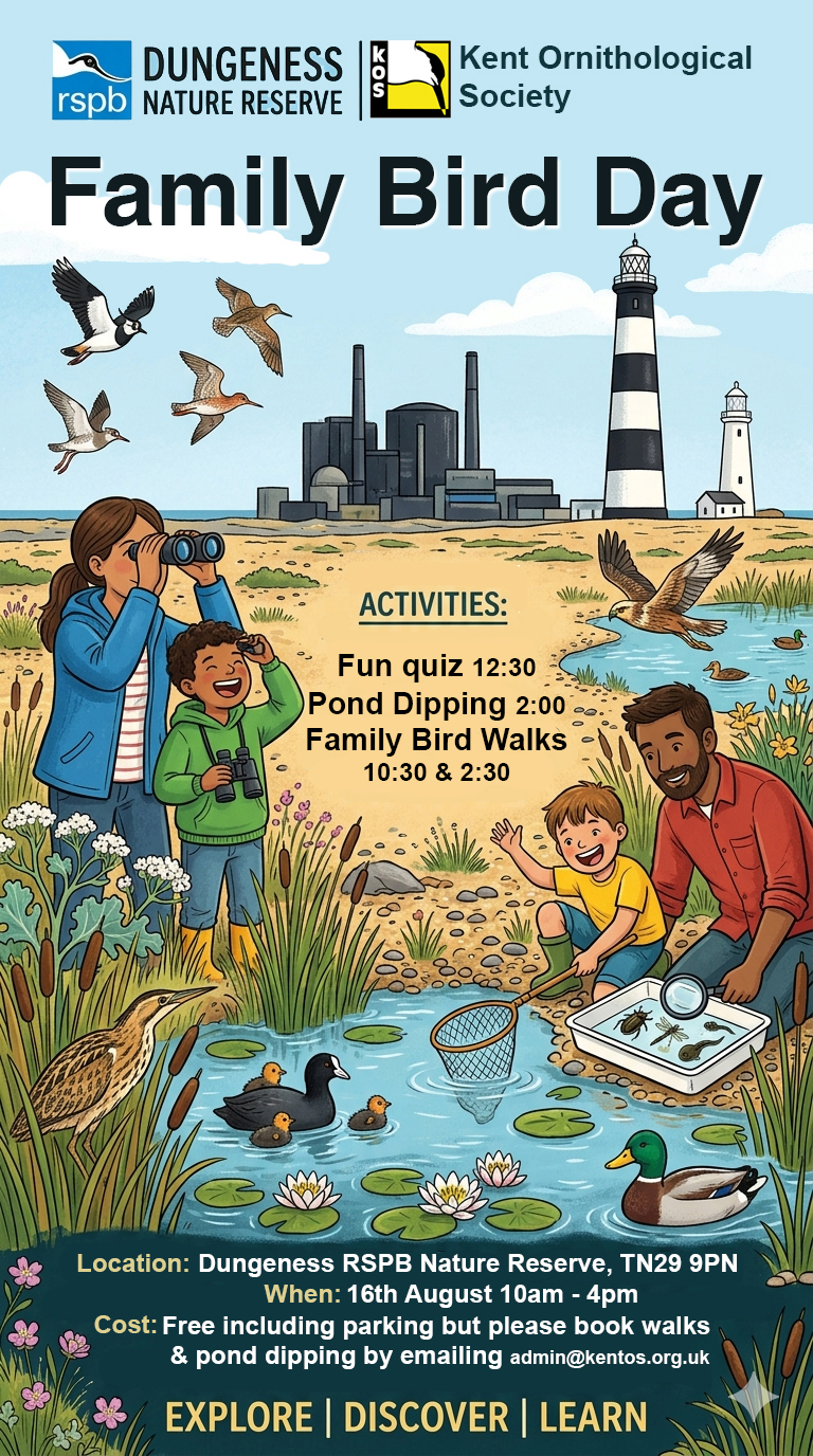 Dungeness_Family_Bird_Day_Poster_Aug_2026_v1-2.jpg